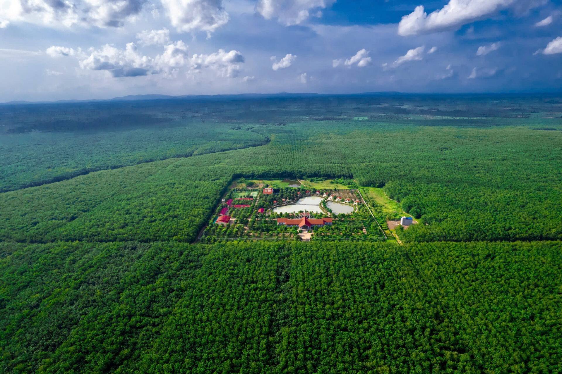 VRG kiến tạo giá trị bền vững 2 VRG kiến tạo giá trị bền vững - Ảnh 2.