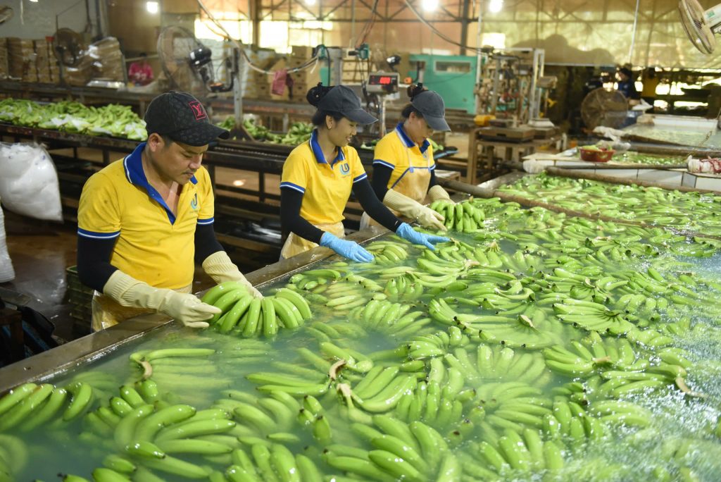 VRG kiến tạo giá trị bền vững 5 VRG kiến tạo giá trị bền vững - Ảnh 5.