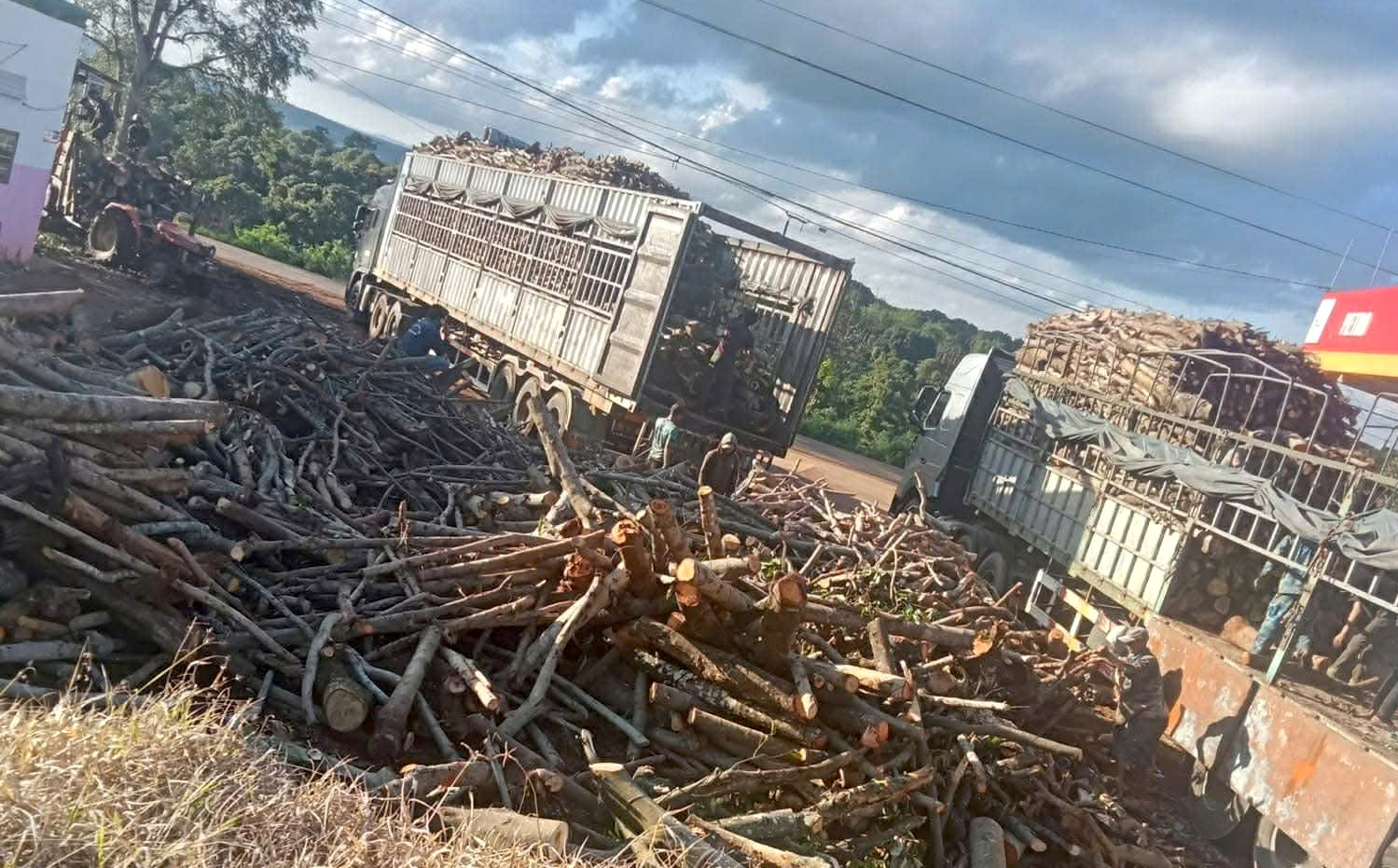 Nóng tình trạng phá rừng tại gia Lai cần được xử lý nghiêm trong năm 2026 - Ảnh 4.