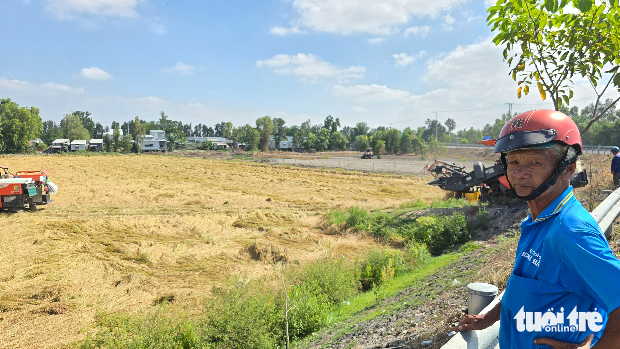 Nhiều nông dân sẽ giảm lúa vụ 3, hạn chế rủi ro do xăng dầu tăng 2 Nhiều nông dân sẽ giảm lúa vụ 3, hạn chế rủi ro do xăng dầu tăng - Ảnh 3.