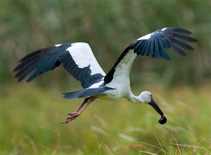 1775638144 547 Nhieu nguoi Viet vui mung