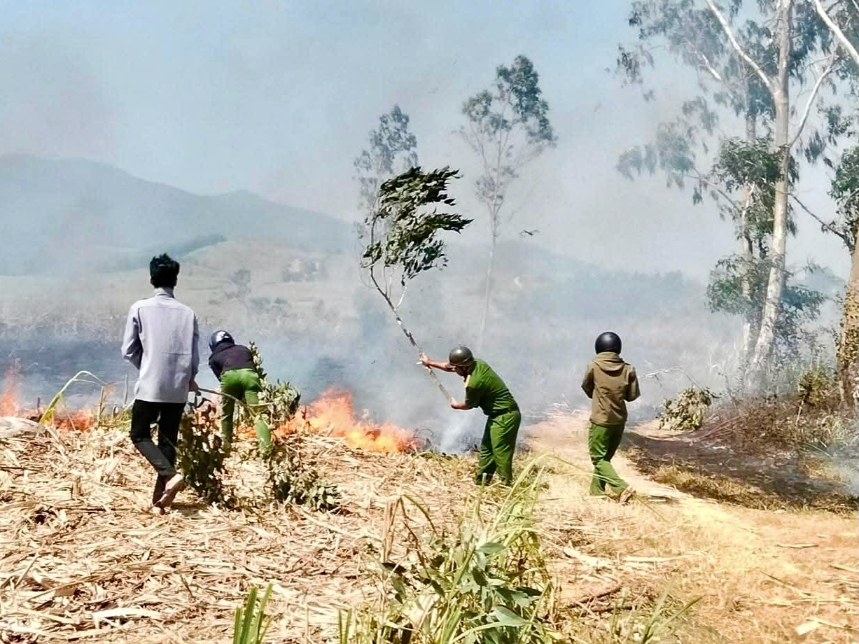 Nắng nóng, đồng mía cháy liên tiếp, nông dân thiệt hại nặng 5 cháy mía - Ảnh 5.