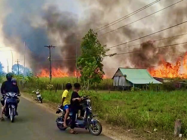 Nắng nóng, đồng mía cháy liên tiếp, nông dân thiệt hại nặng 6 cháy mía - Ảnh 6.