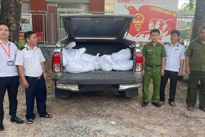 TP.HCM: Phát hiện xe chở gần 300 kg gà chết bốc mùi hôi thối đi tiêu thụ