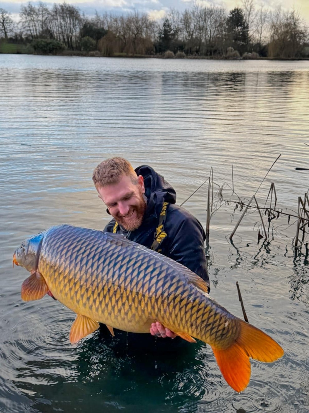 Cần thủ câu được con cá chép khổng lồ nặng gần 29kg - Ảnh 2.