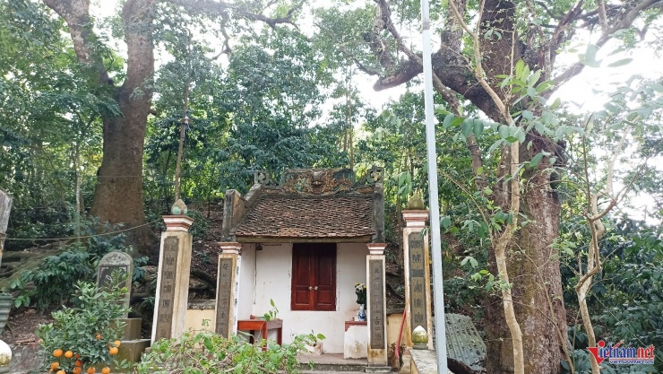 Cả làng bảo vệ báu vật hàng trăm tuổi trên đồi Bích Sơn ở Ninh Bình 3 Ngôi đền cổ Bích Sơn nằm dưới những tán cây lim cổ thụ hàng trăm năm tuổi