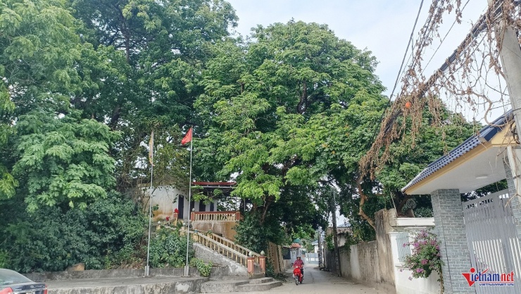 Cả làng bảo vệ báu vật hàng trăm tuổi trên đồi Bích Sơn ở Ninh Bình 4 Đền nằm ở lưng chừng ngọn đồi, phía trên con đường làng