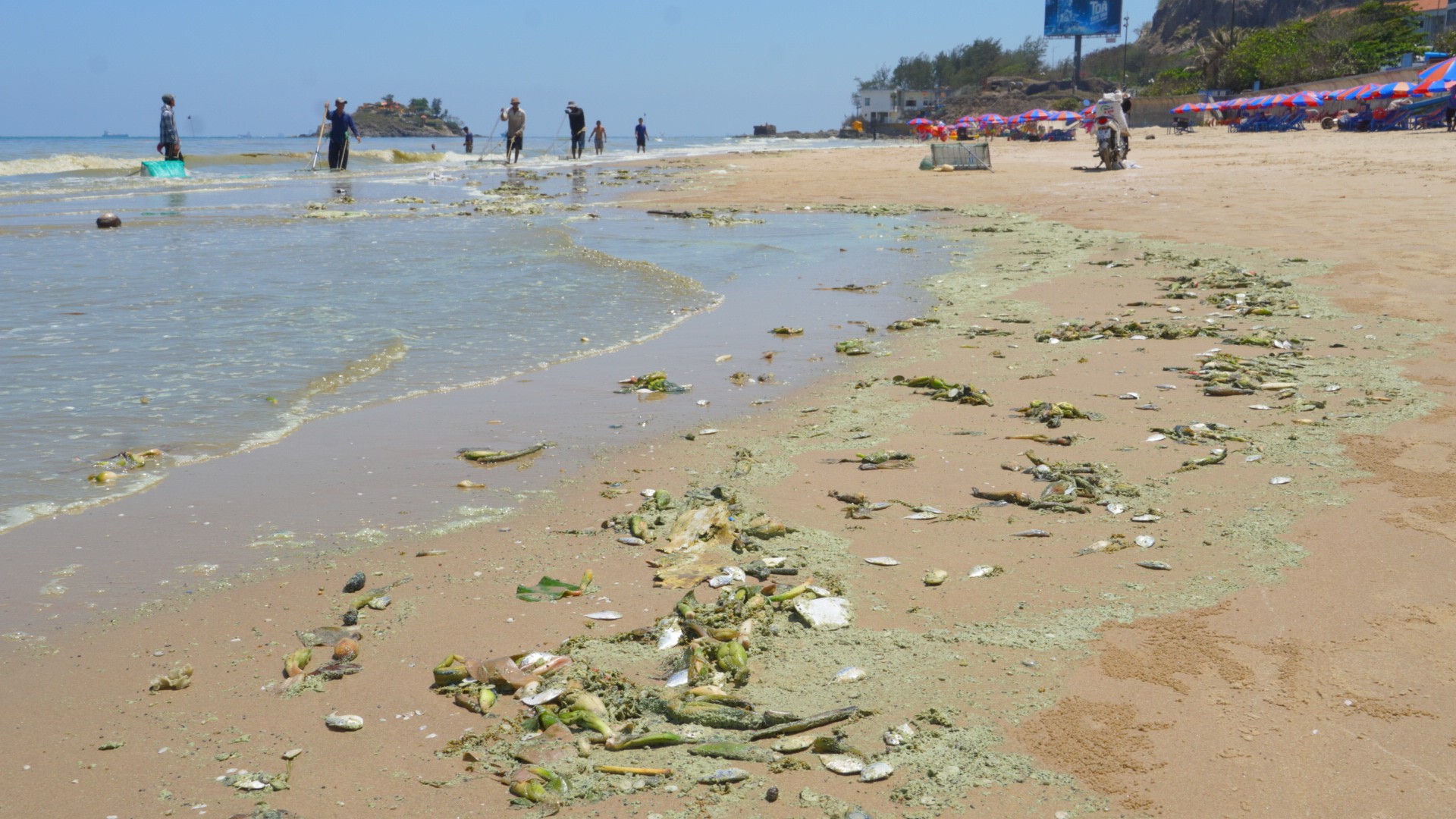 Thông tin nổi bật tại TPHCM ngày 8-4: 