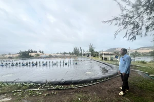 Vụ HĐXX án hình sự tuyên hủy giấy chứng nhận: TAND tỉnh Khánh Hòa tuyên sửa án