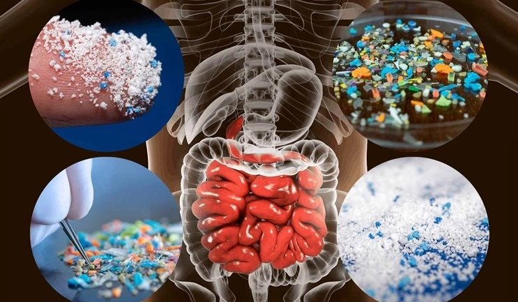 Vật này trong nhà là "ổ VI NHỰA", càng dùng càng rước bệnh! 3 1775723500 713 Vat nay trong nha la o VI NHUA cang dung