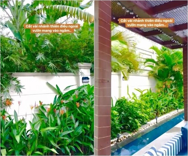 Cuộc sống an yên, tự tại trong biệt thự triệu đô của 