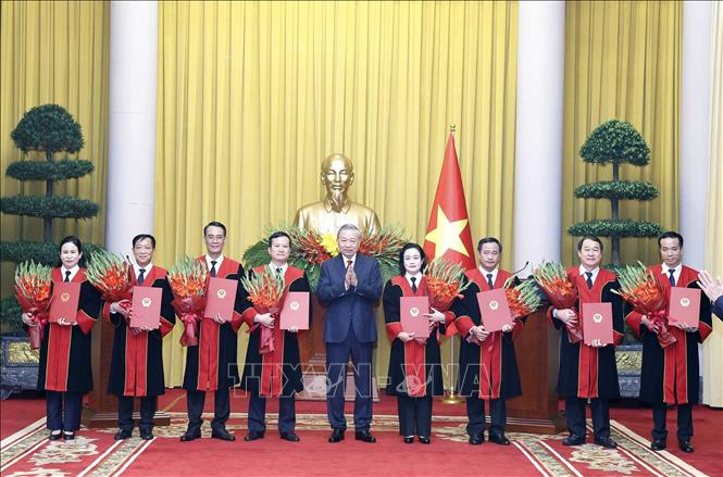 Tổng Bí thư Tô Lâm trao quyết định bổ nhiệm Thẩm phán Tòa án nhân dân tối cao 2026 - Ảnh 3.