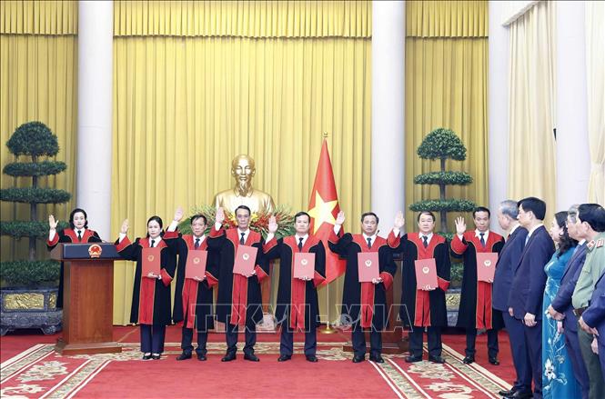 Tổng Bí thư Tô Lâm trao quyết định bổ nhiệm Thẩm phán Tòa án nhân dân tối cao 2026 - Ảnh 4.