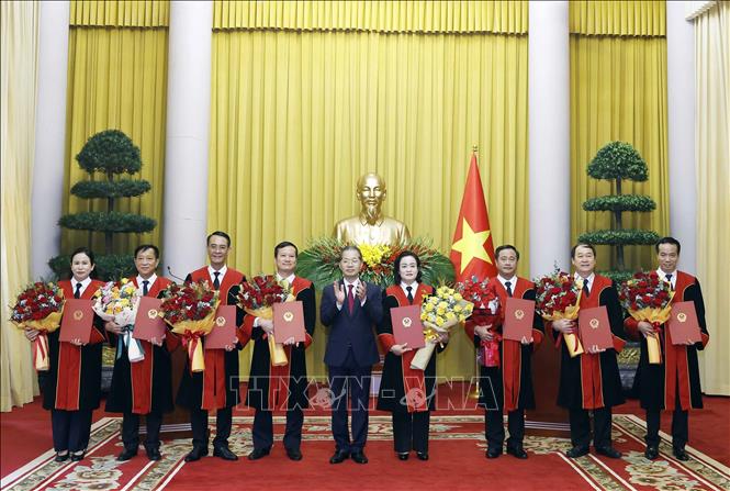 Tổng Bí thư Tô Lâm trao quyết định bổ nhiệm Thẩm phán Tòa án nhân dân tối cao 2026 - Ảnh 7.