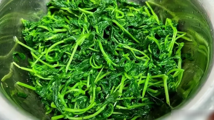 Loại rau dại được mệnh danh là cỏ làm sạch ruột, thanh nhiệt, giải độc, trộn tỏi giòn ngọt, ngon miệng 8 Loại rau dại được mệnh danh là "cỏ làm sạch ruột", thanh nhiệt, giải độc, trộn tỏi giòn ngọt, ngon miệng - 7