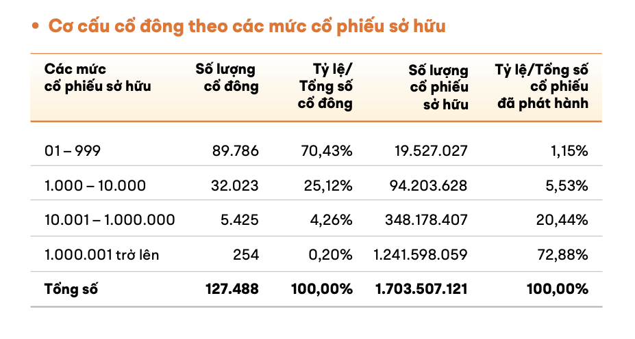 cổ đông - Ảnh 2.