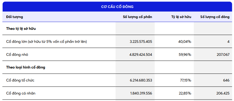 cổ đông - Ảnh 3.
