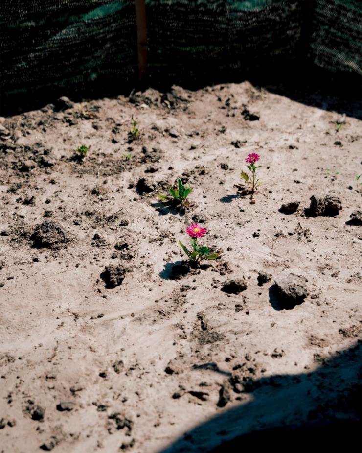 Ngắm công viên đá nghìn hình thù ở ven biển Ninh Thuận 9 Ngắm công viên đá nghìn hình thù ở ven biển Ninh Thuận - 8