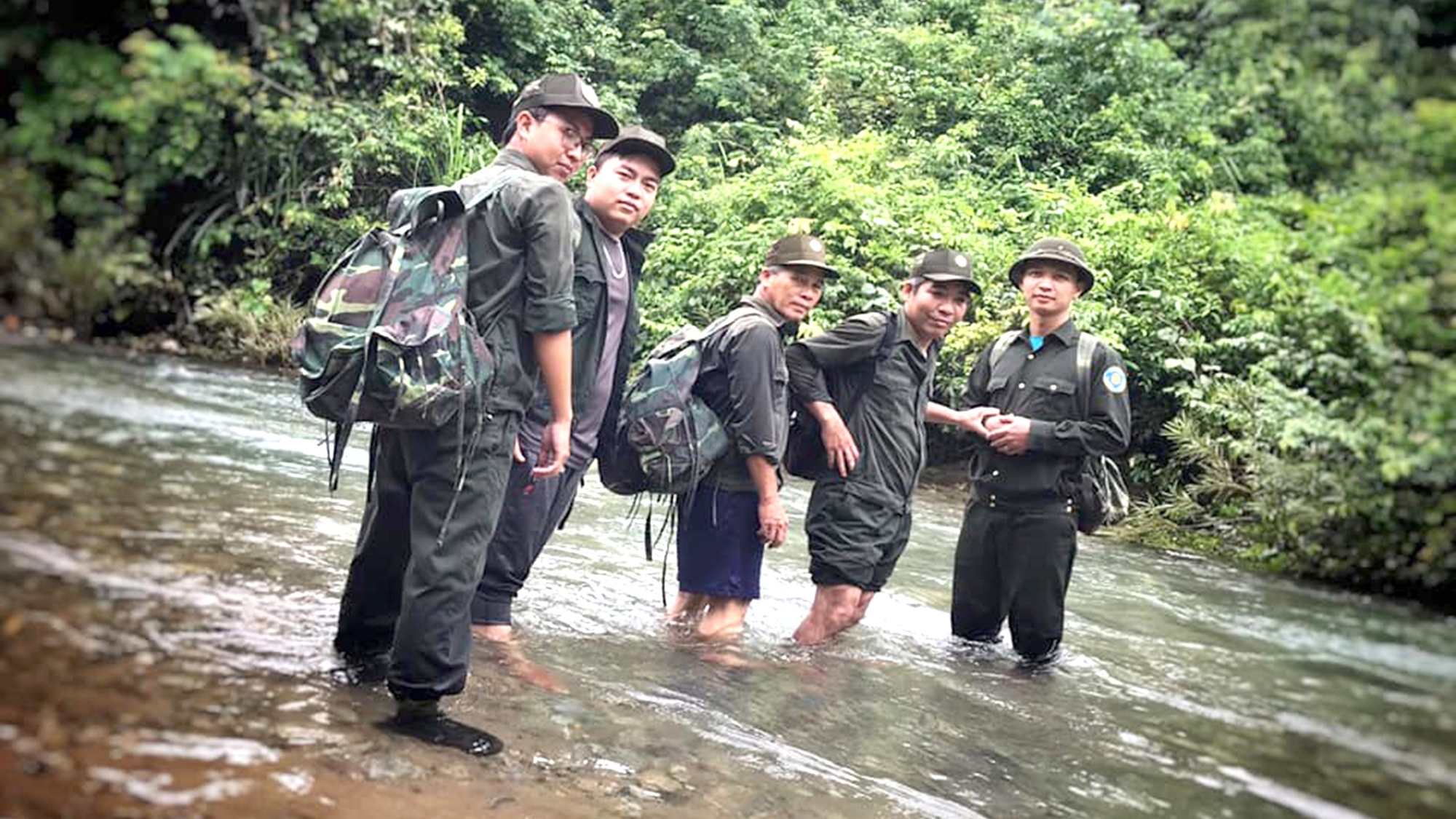 Xanh mát rừng Bắc Hải Vân 2 bắc hải vân - Ảnh 2.