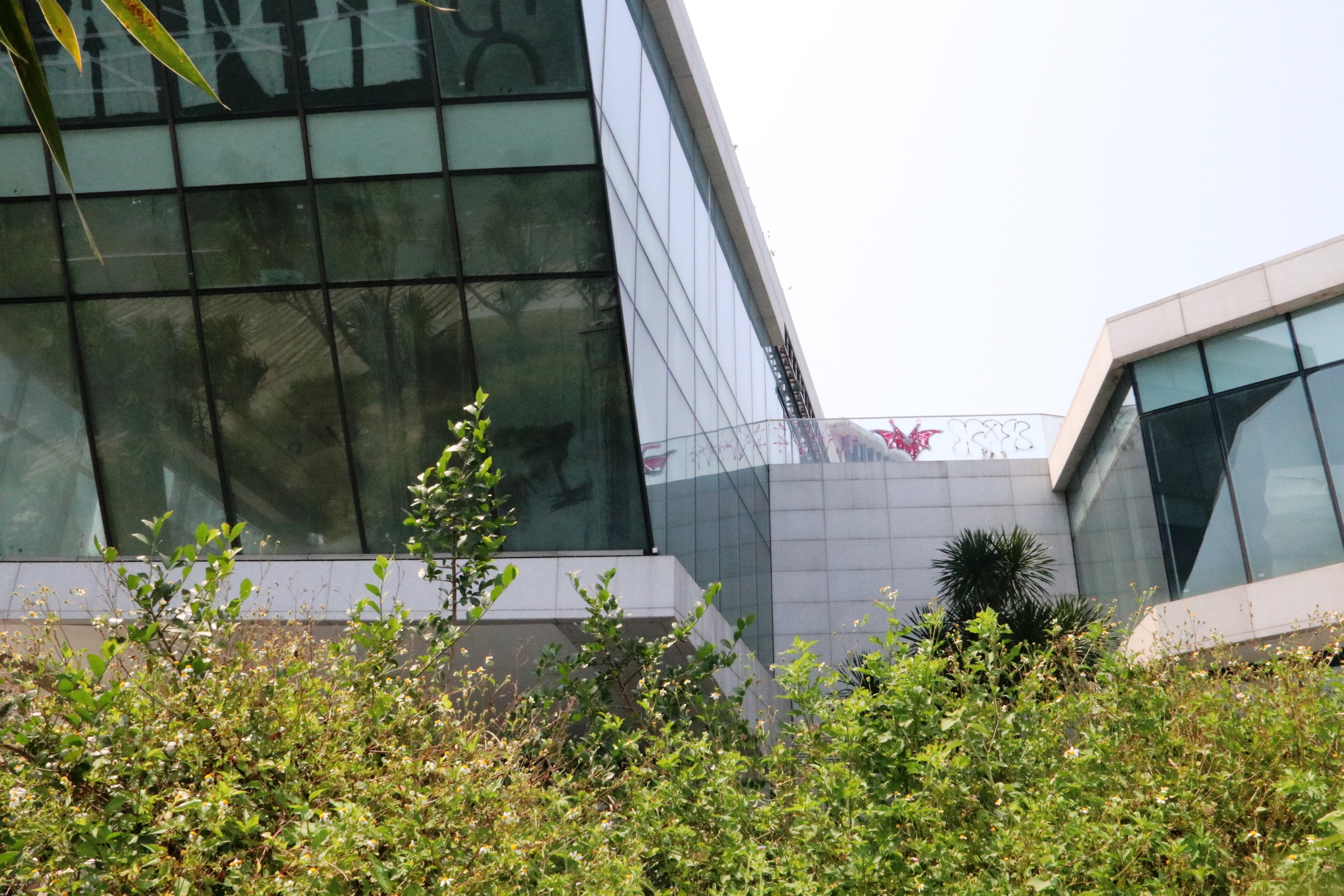 Bến du thuyền trăm tỉ của Vũ nhôm 'ngủ quên' bên sông Hàn- Ảnh 13.