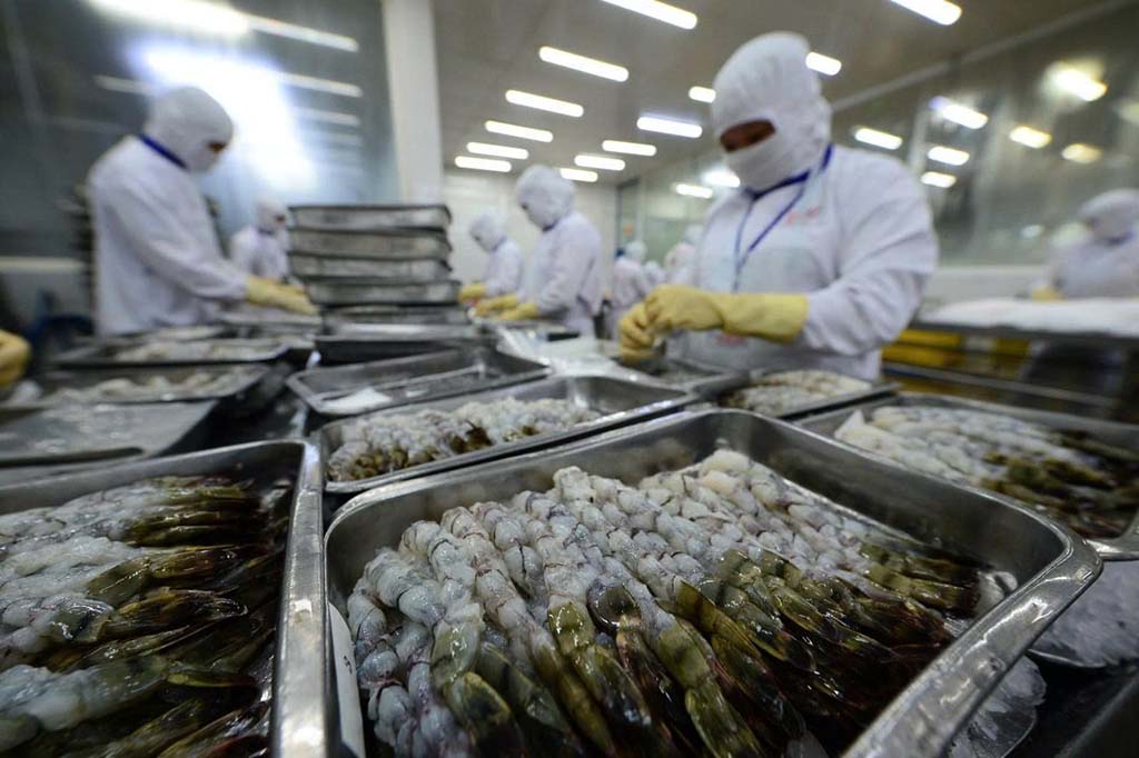 Thủy sản xuất khẩu gặp khó- Ảnh 2.