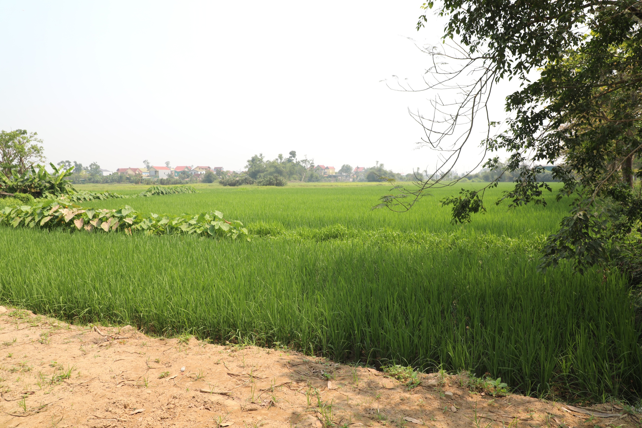 'Tuyên chiến' với dự án treo- Ảnh 3.