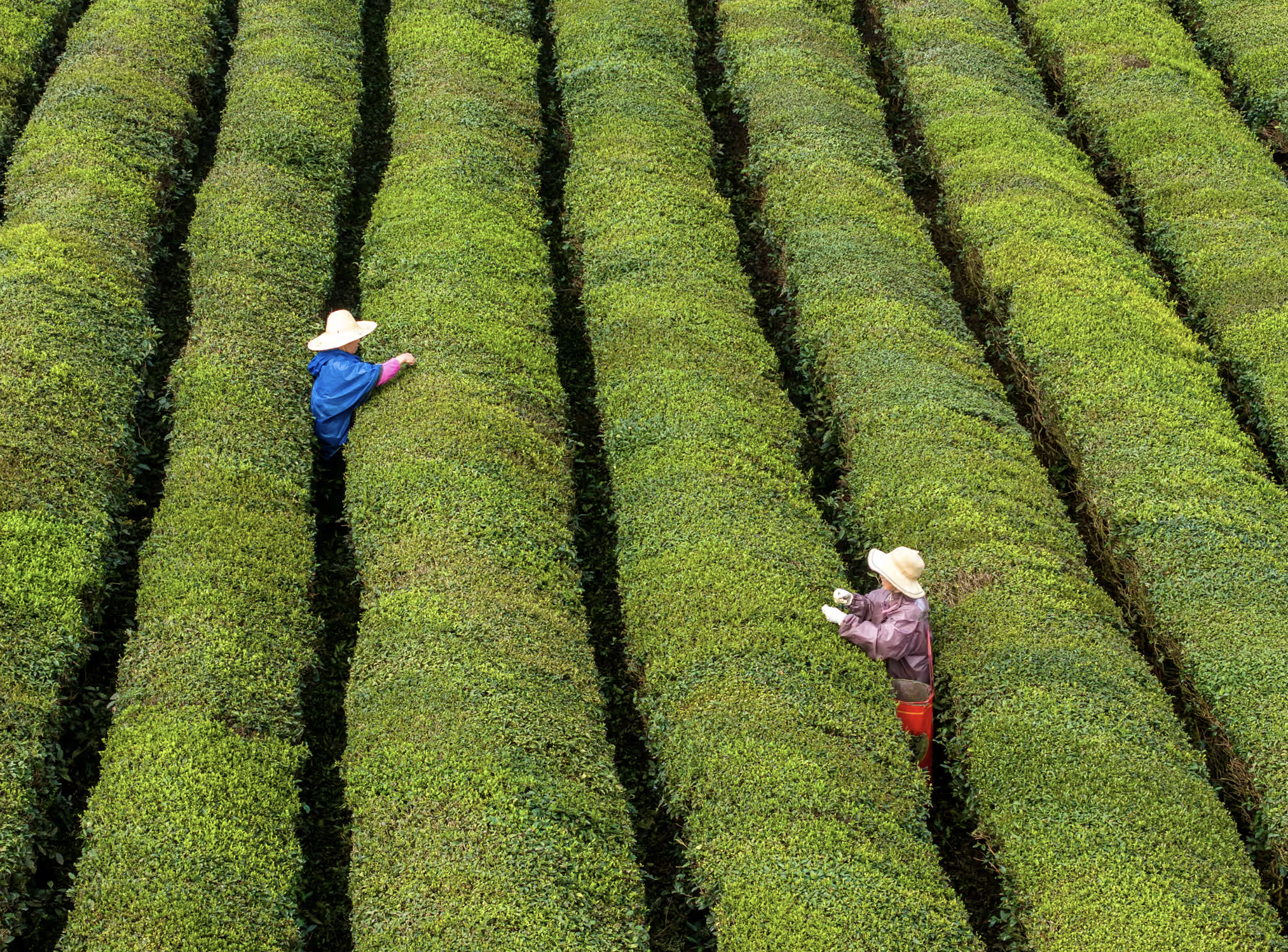 Tin tức thế giới 10-4: Ông Trump nói dầu sẽ sớm qua eo biển Hormuz; Nga ngừng bắn 32 giờ 4 Tin tức thế giới 10-4: Mỹ cảnh báo Iran về việc thu phí qua eo biển Hormuz, Nga ngừng bắn 31 giờ - Ảnh 5.