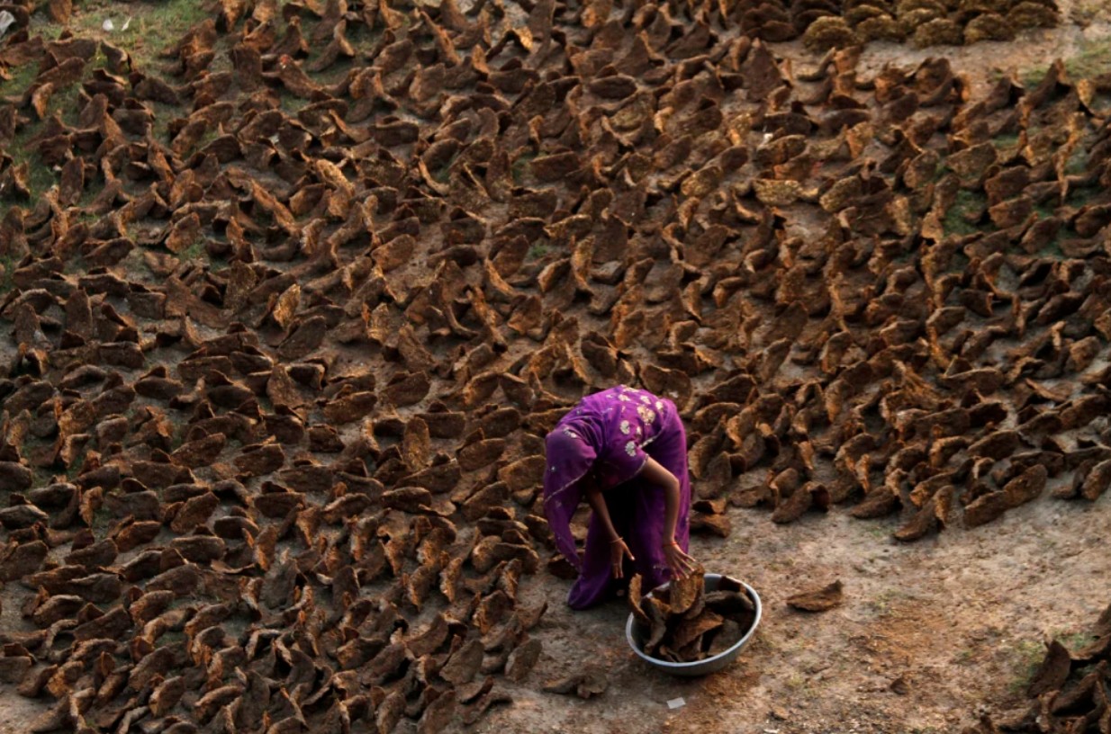 Cảnh tượng chưa từng thấy ở Ấn Độ: Khắp đường phố 