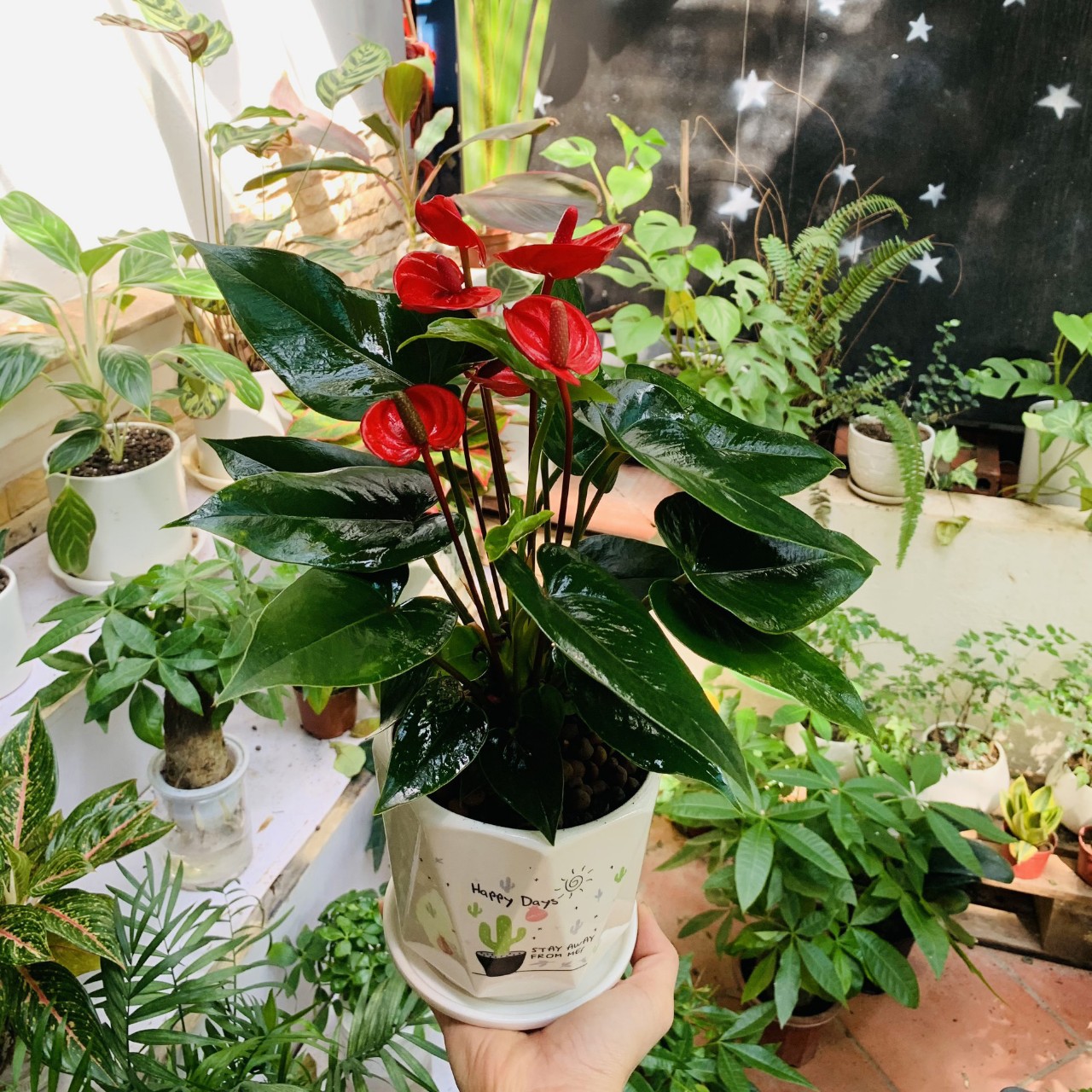 1775789705 313 Day la 7 loai rat dang de thu