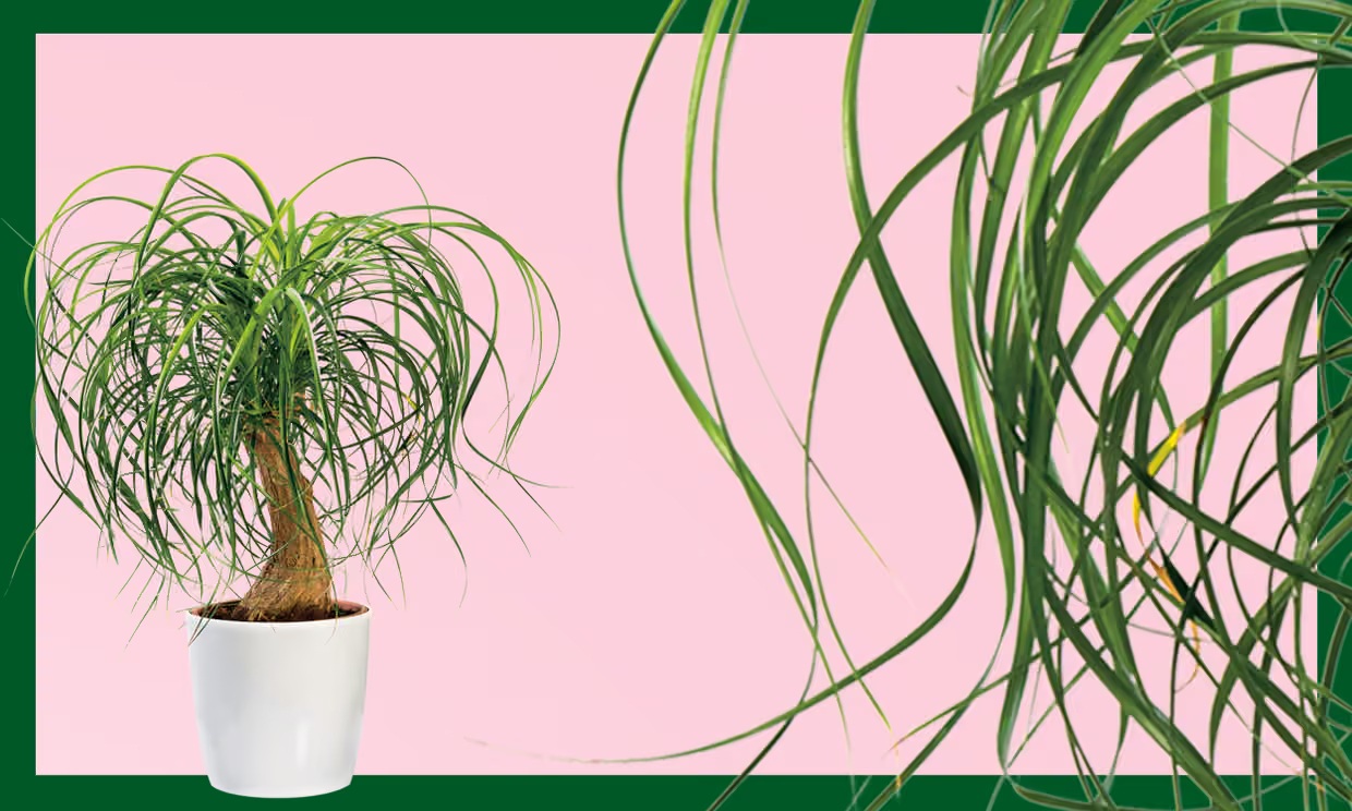 1775789710 730 Day la 7 loai rat dang de thu