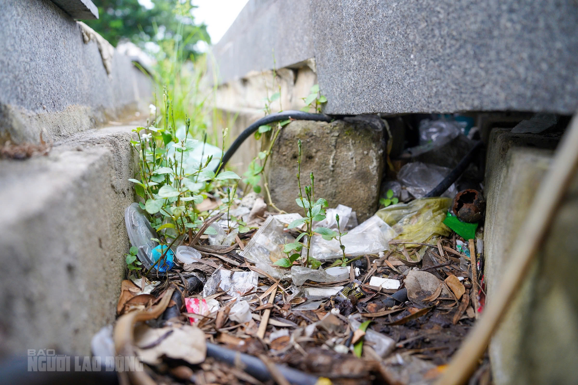 Cận cảnh bến du thuyền trăm tỉ bên sông Hàn Đà Nẵng 8 Cận cảnh bến du thuyền trăm tỉ bên sông Hàn - Ảnh 8.