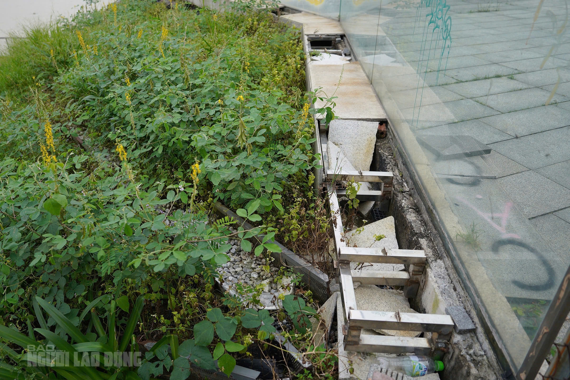 Cận cảnh bến du thuyền trăm tỉ bên sông Hàn Đà Nẵng 9 Cận cảnh bến du thuyền trăm tỉ bên sông Hàn - Ảnh 9.