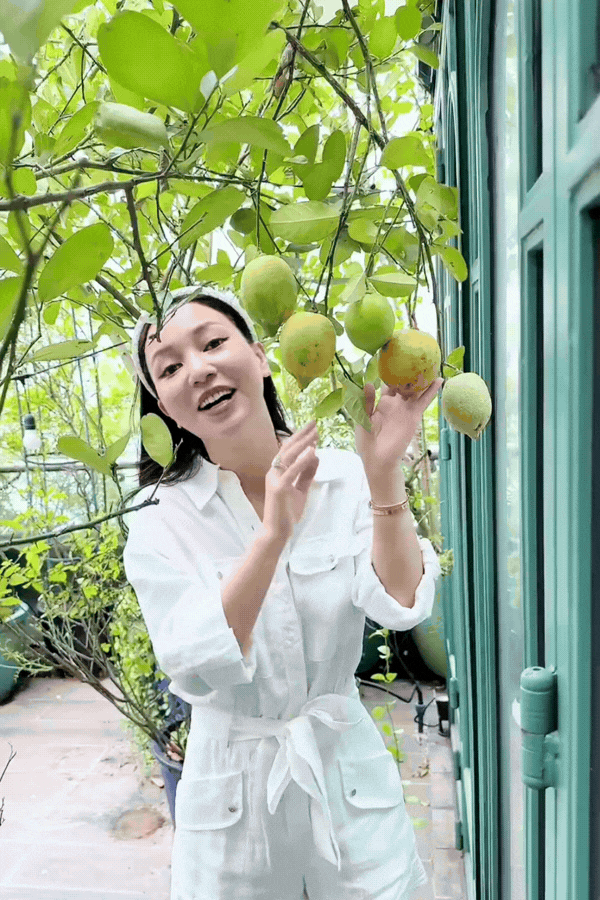 1775795748 317 Phu ba sang ngam hoa chieu hai qua toi uong