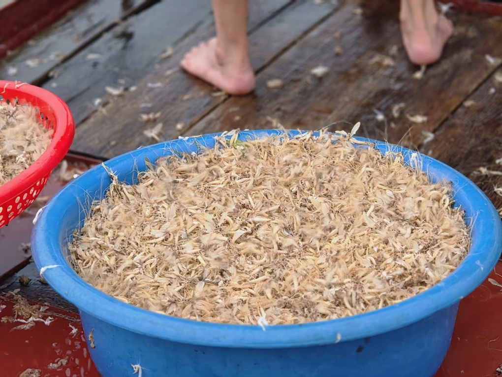 Đặc sản ở Hà Nội xuất hiện 30 phút rồi chết, muốn bắt phải canh cả đêm - 3