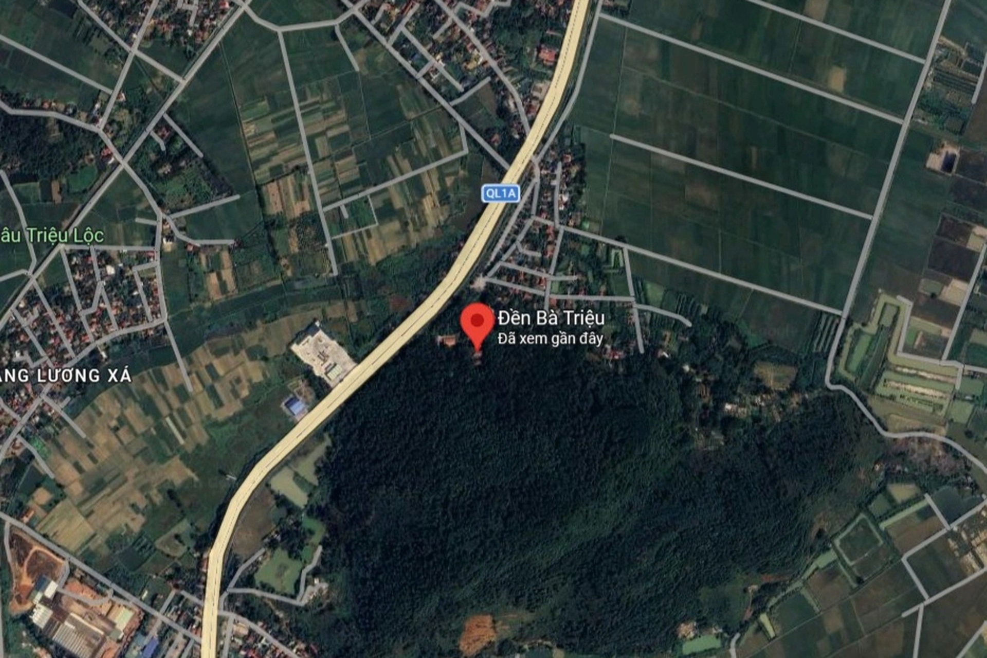 Du khách thích thú chiêm ngắm trống đồng khổng lồ ở lễ hội đền Bà Triệu - 12