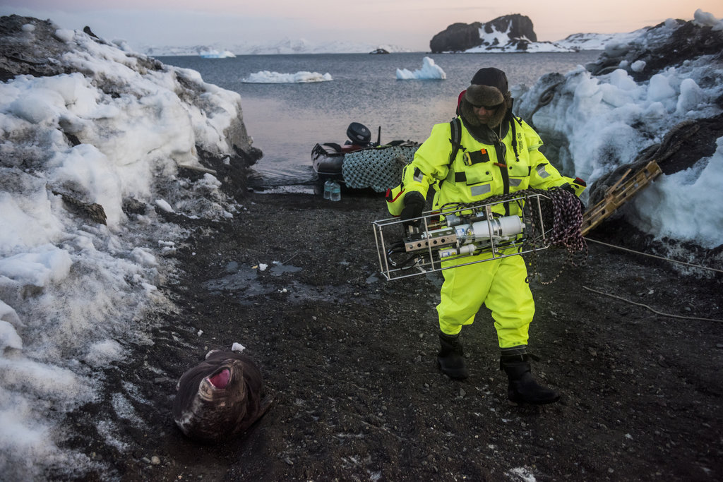 Nam Cực băng tan khiến hơn 120.000 km² đất giàu vàng bạc dần lộ diện: Cuộc đua tài nguyên không còn xa- Ảnh 3. Nam Cực băng tan khiến hơn 120.000 km² đất giàu vàng bạc dần lộ diện: Cuộc đua tài nguyên không còn xa- Ảnh 3.
