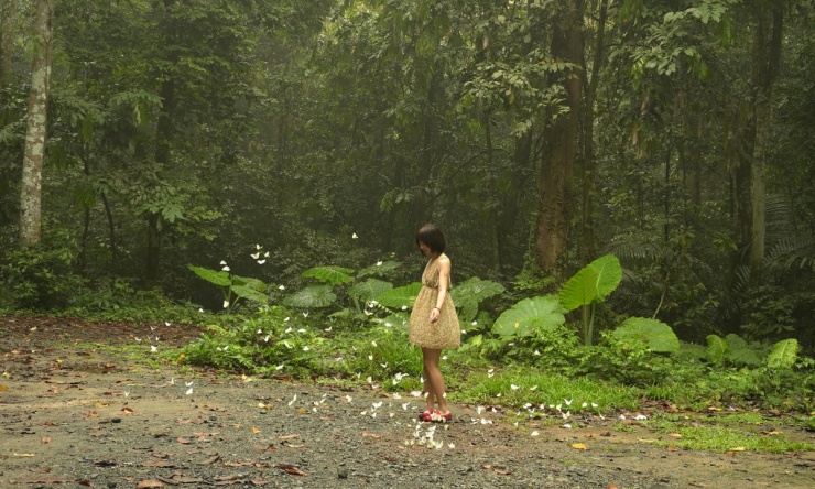 Khách đổ đến check in vườn Cúc Phương mùa bướm 3 Khách đổ đến check in vườn Cúc Phương mùa bướm - 2