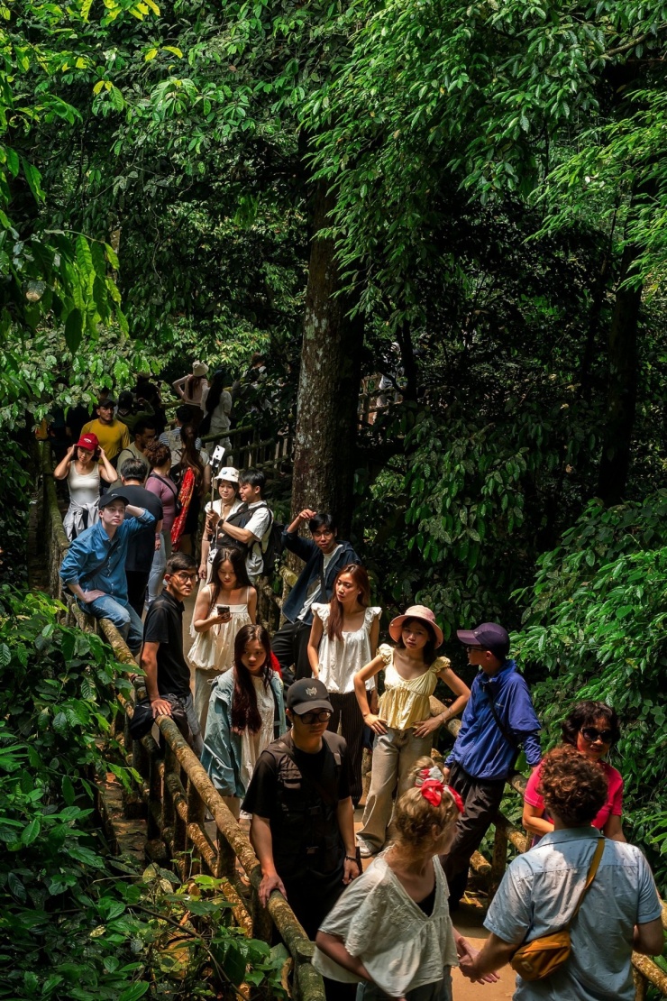 Khách đổ đến check in vườn Cúc Phương mùa bướm 5 Khách đổ đến check in vườn Cúc Phương mùa bướm - 4