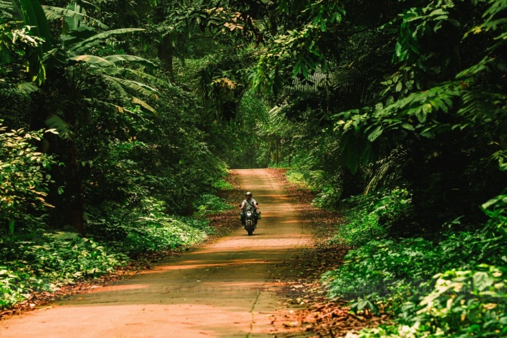 Khách đổ đến check in vườn Cúc Phương mùa bướm 8 Khách đổ đến check in vườn Cúc Phương mùa bướm - 7