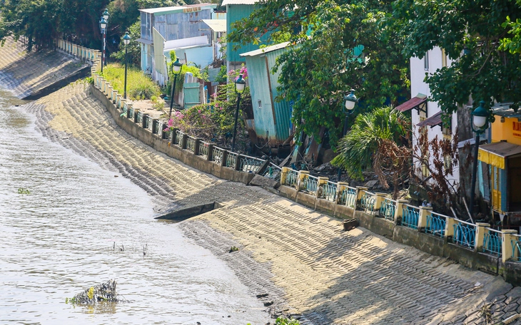 Sạt lở sông Hậu dài 50m, ăn sâu vào bờ 8m, sập kè và băng tải của doanh nghiệp - Ảnh 4.