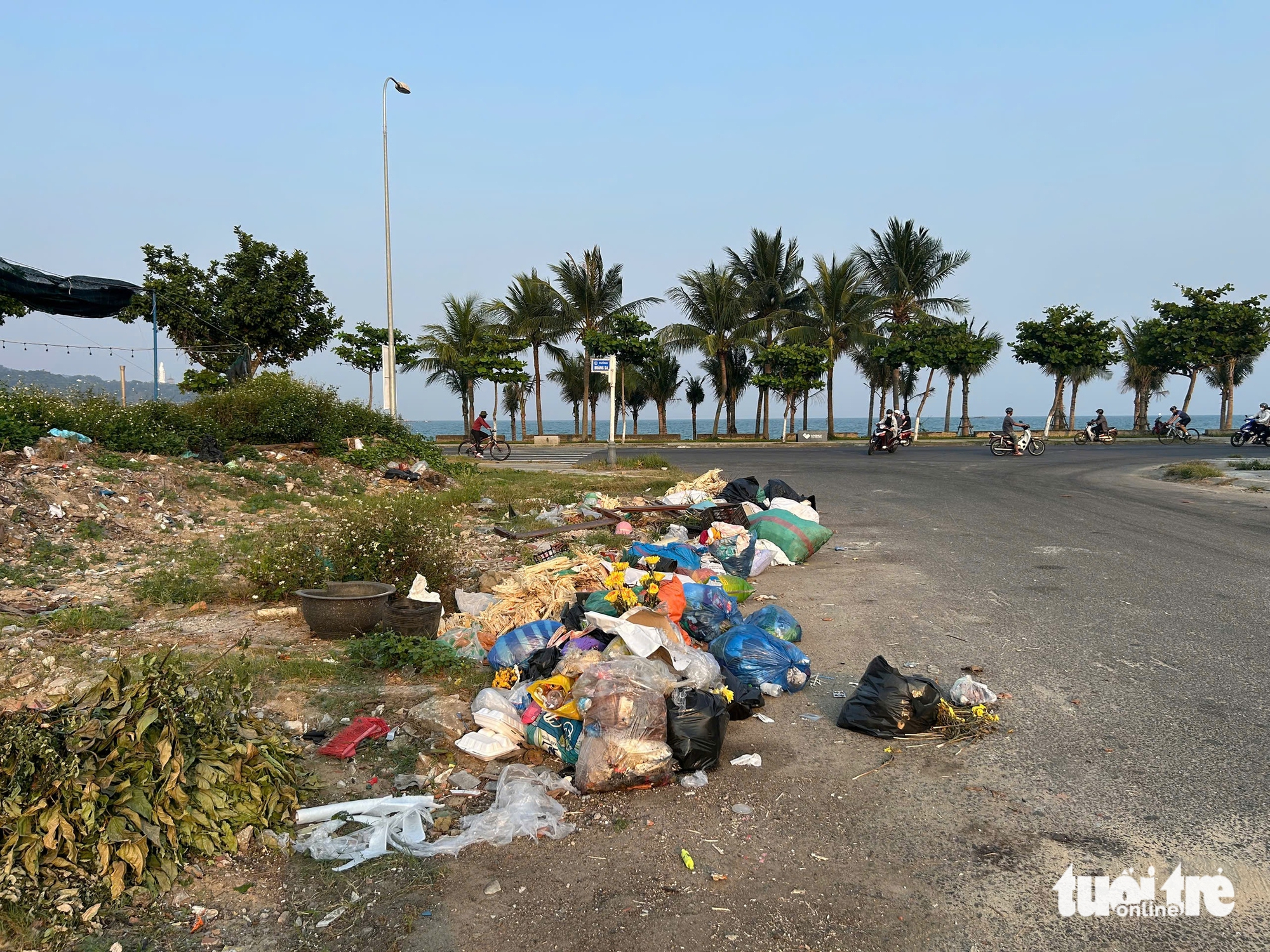 Rác thải ngổn ngang ven biển Sơn Trà - Ảnh 5.