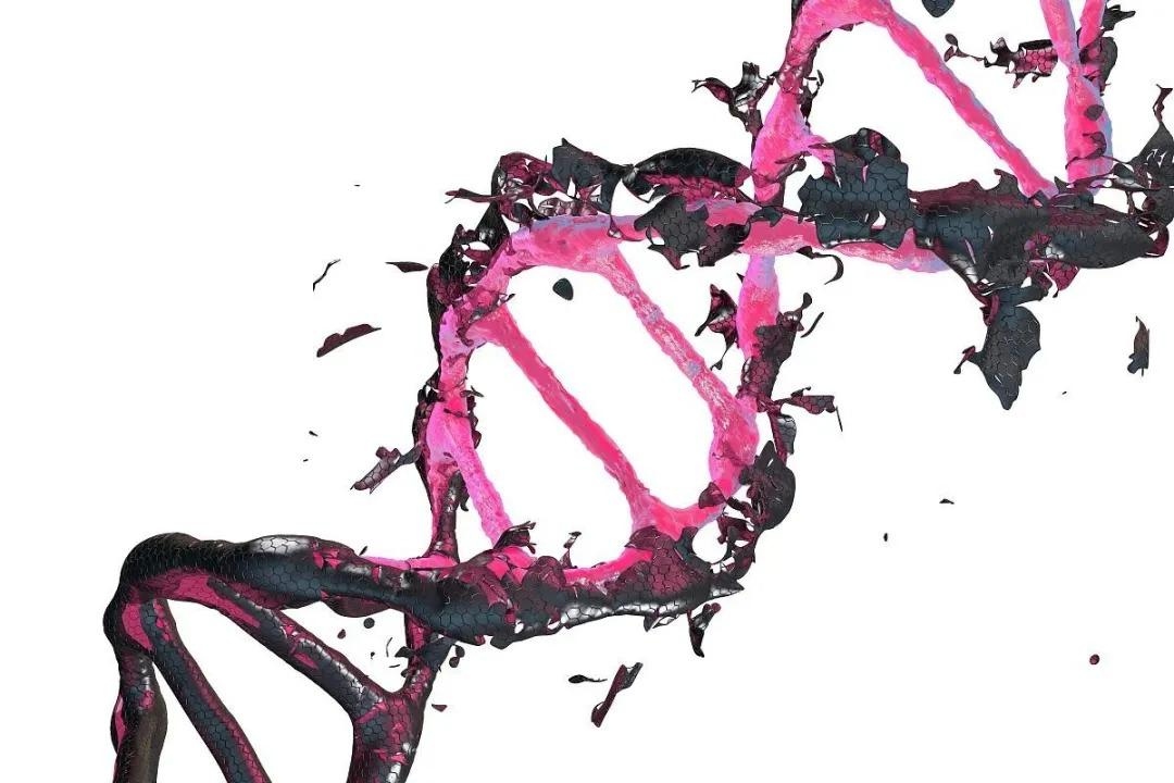 Một sinh vật đột biến đã được phát hiện ở Chernobyl, sở hữu những khả năng đặc biệt, bao gồm khả năng ăn bức xạ hạt nhân 3 1775897085 834 Mot sinh vat dot bien da duoc phat hien o