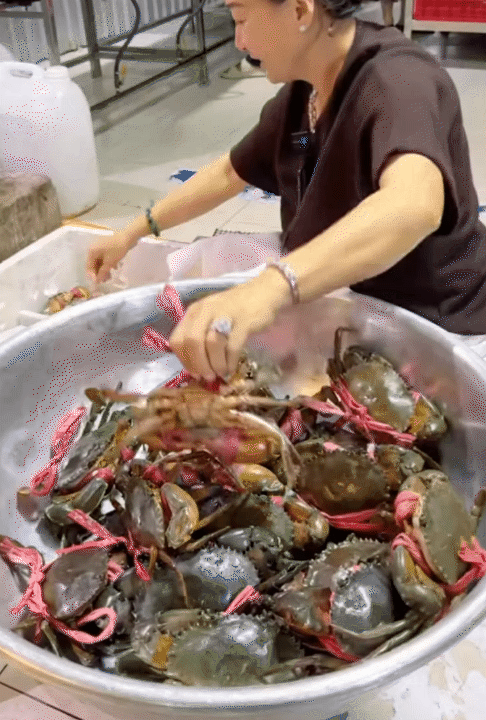 Đại thiếu gia Bạc Liêu chi hơn nửa tỷ cho lễ gia tiên, đám cưới có 1-0-2 mang chất riêng của gia tộc hào môn- Ảnh 17.