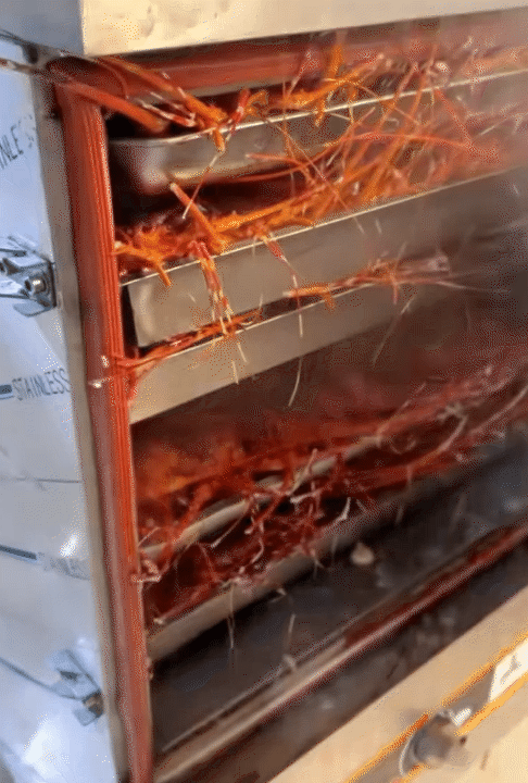 Đại thiếu gia Bạc Liêu chi hơn nửa tỷ cho lễ gia tiên, đám cưới có 1-0-2 mang chất riêng của gia tộc hào môn- Ảnh 18.