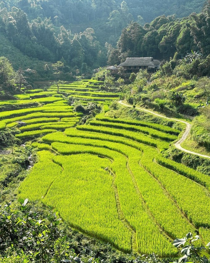 Gợi ý 3 điểm trốn nóng gần Hà Nội dịp 30/4 4 Bản Liền ghi điểm bởi khung cảnh yên bình của đồi trà xanh mát, ruộng bậc thang ngút tầm mắt cùng sự giản dị, đôn hậu của người dân bản địa. Ảnh: kiara.yuhe