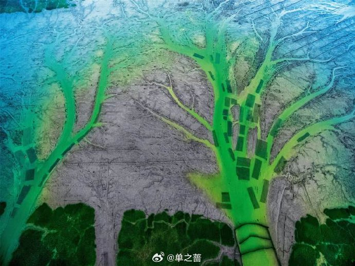 "Rồng" bất ngờ xuất hiện trên mặt sông dịp Thanh Minh, cảnh tượng từ trên cao khiến dân mạng xôn xao 2 1775911047 807 Rong bat ngo xuat hien tren mat song dip Thanh