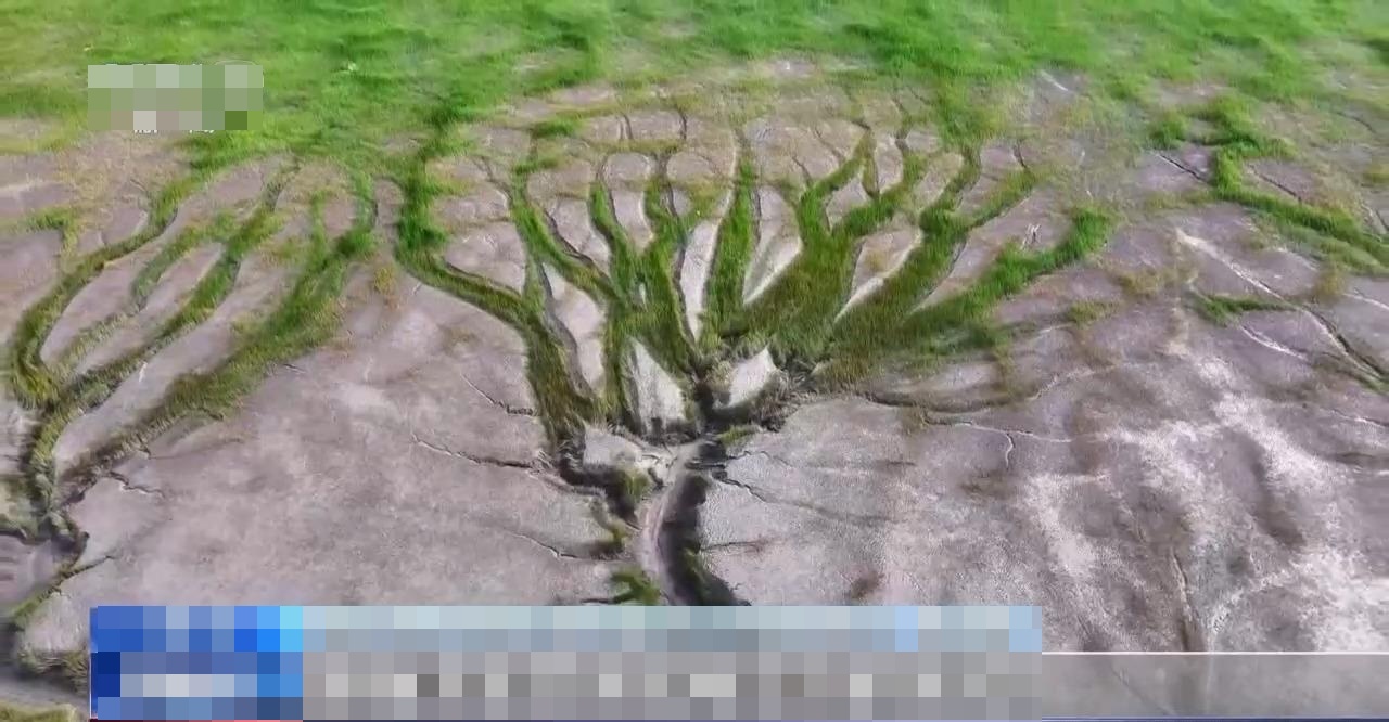 "Rồng" bất ngờ xuất hiện trên mặt sông dịp Thanh Minh, cảnh tượng từ trên cao khiến dân mạng xôn xao 3 1775911049 457 Rong bat ngo xuat hien tren mat song dip Thanh