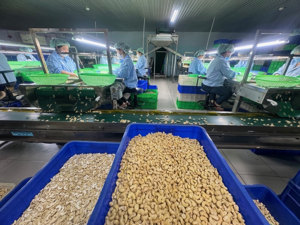 Trung Quốc, thị trường tiêu thụ lớn của Việt Nam- Ảnh 3.