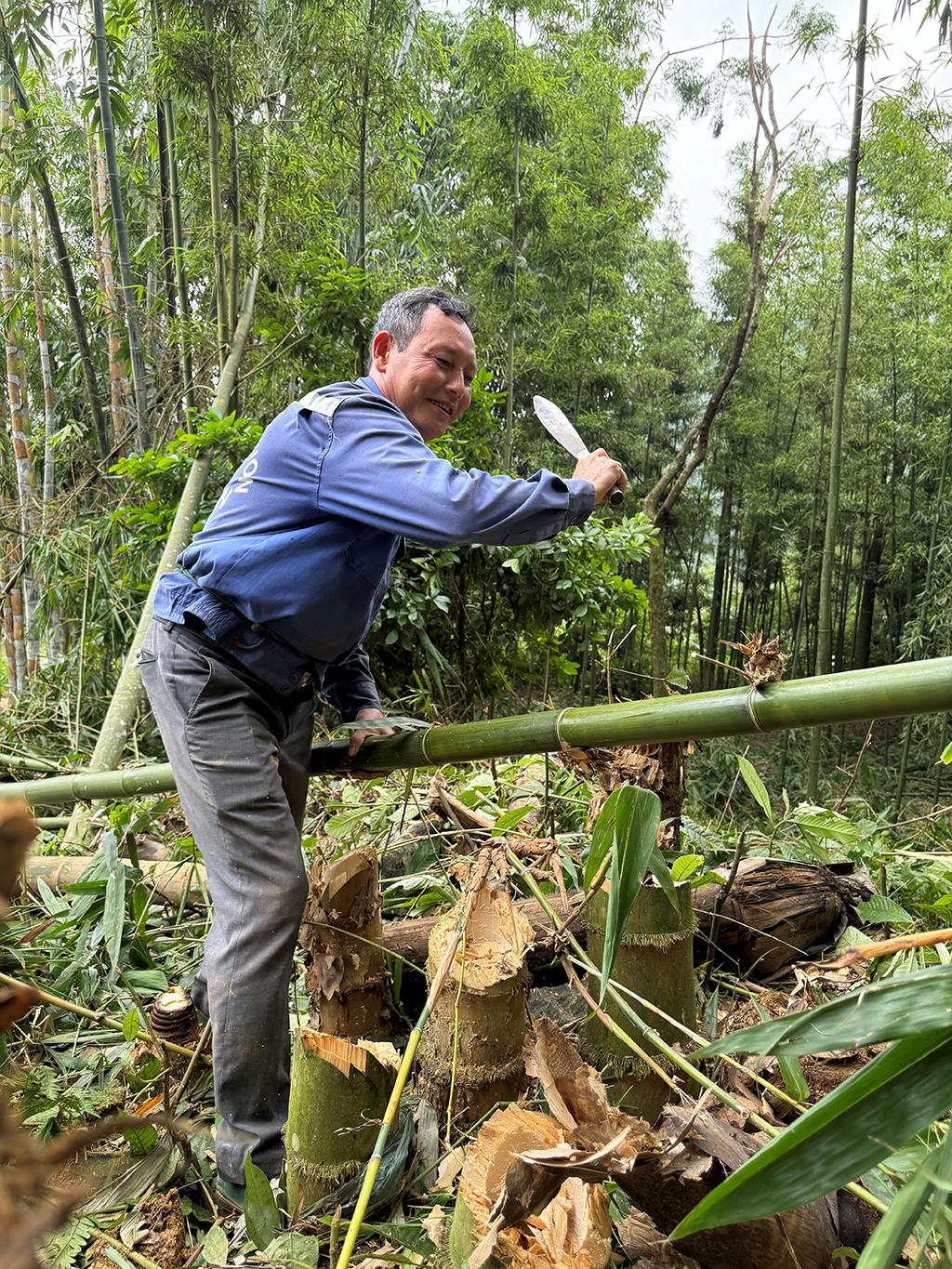 Giấy giang Pà Cò, khi hồn rừng về phố thị- Ảnh 3.