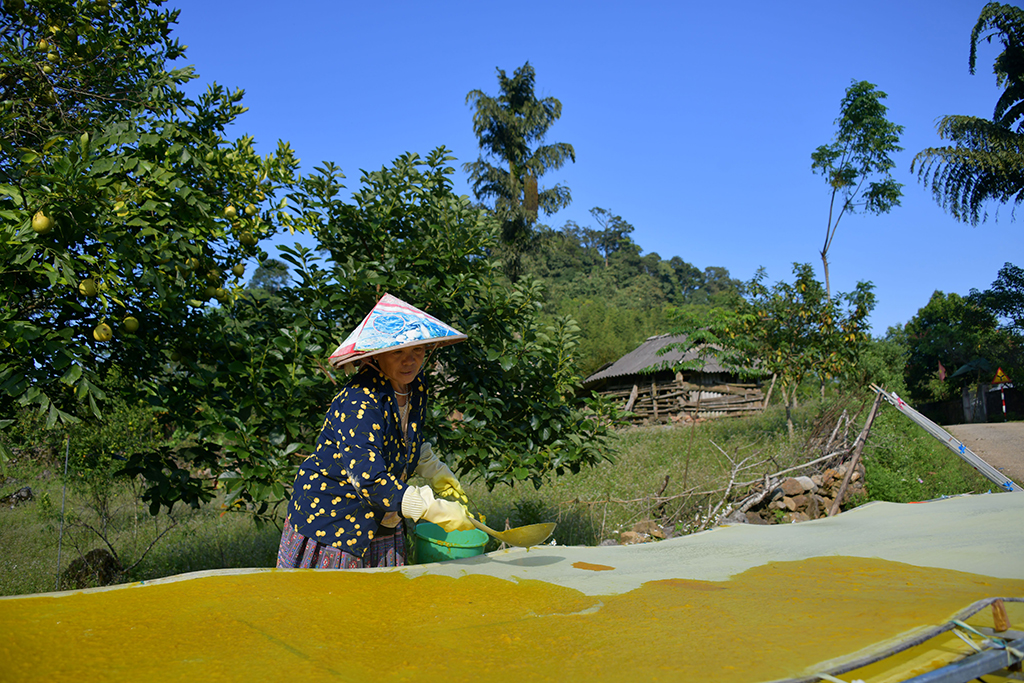 Giấy giang Pà Cò, khi hồn rừng về phố thị- Ảnh 7.